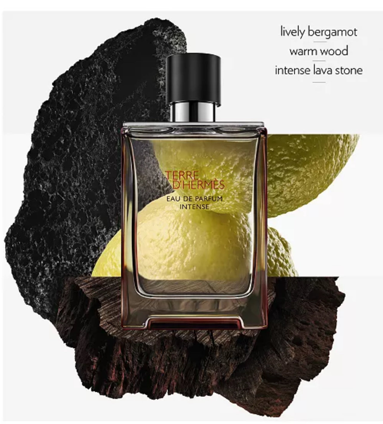 Terre D’Hérmes 3.4 Parfum Intense