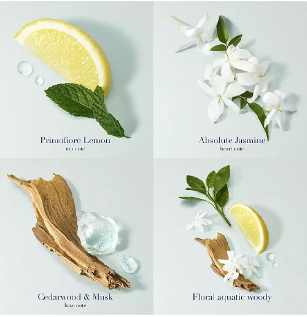 Acqua de Gioia Eu Parfum 3.4