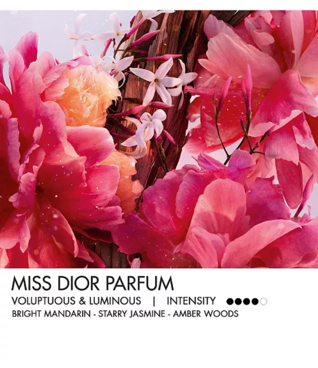 Miss Dior (Parfum 5.0)