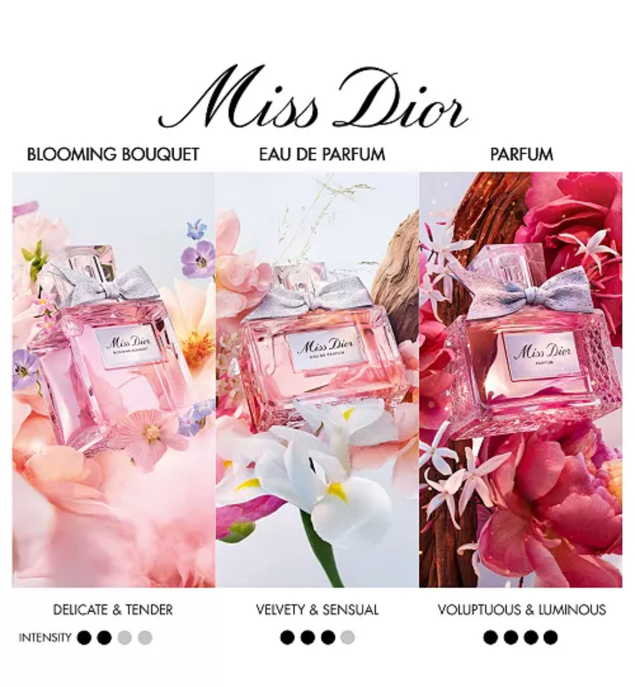 Miss Dior (Parfum 5.0)